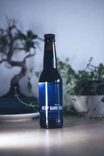 玻璃瓶中的社會責任 波蘭華沙啤酒業的藍色常春藤